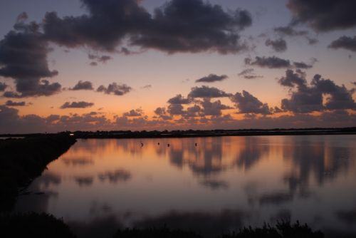 Fotografia de marianoegea - Galeria Fotografica: naturaleza - Foto: 