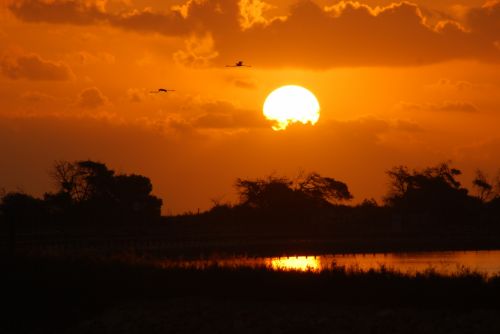 Fotografia de marianoegea - Galeria Fotografica: naturaleza - Foto: 