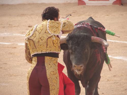 Fotografia de cesterita - Galeria Fotografica: tauroaficion - Foto: entrando a matar
