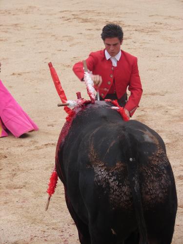 Fotografia de cesterita - Galeria Fotografica: tauroaficion - Foto: en pie