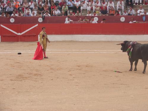 Fotografia de cesterita - Galeria Fotografica: tauroaficion - Foto: perspectiva