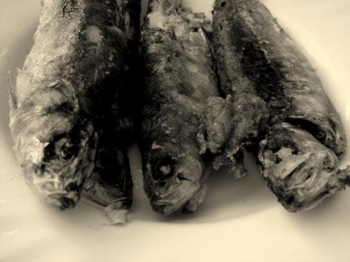 Fotografia de furket - Galeria Fotografica: mec�nico - Foto: terminado