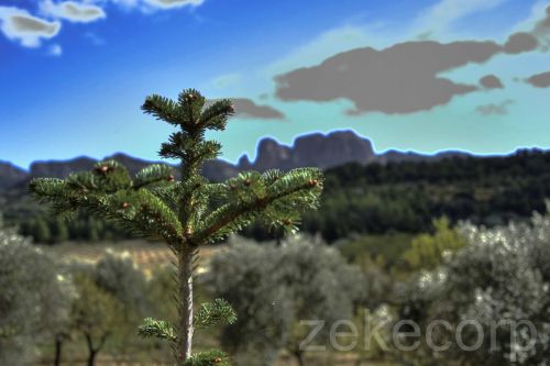 Fotografia de zeke corp - Galeria Fotografica: Hdr  power...je je je - Foto: 