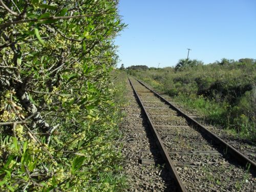 Fotografia de Marcelo Machin - Galeria Fotografica: ferrografas - Foto: 