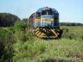 Fotos de Marcelo Machin -  Foto: ferrografas - 