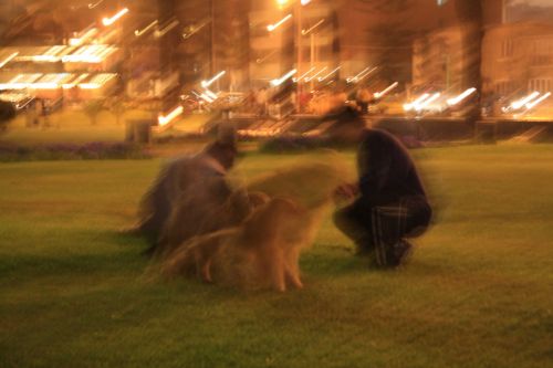 Fotografia de Ivyn - Galeria Fotografica: Movimiento nocturno - Foto: 