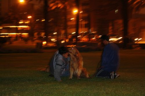 Fotografia de Ivyn - Galeria Fotografica: Movimiento nocturno - Foto: 