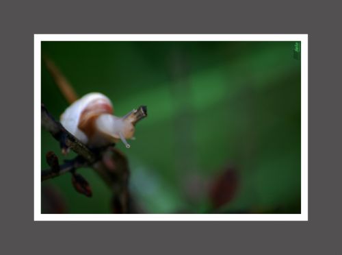 Fotografia de Marcelo - Galeria Fotografica: Equilibrista - Foto: 