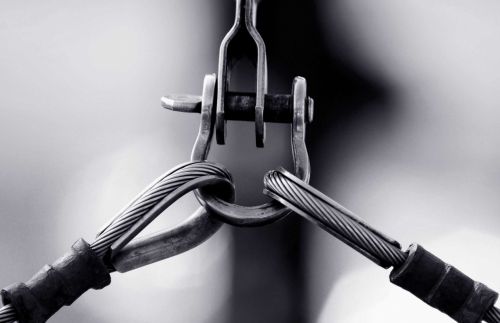 Fotografia de Marcelo - Galeria Fotografica: La linga y el Tornillo - Foto: 