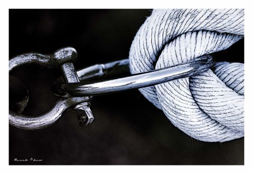 Fotografia de Marcelo - Galeria Fotografica: La linga y el Tornillo - Foto: 