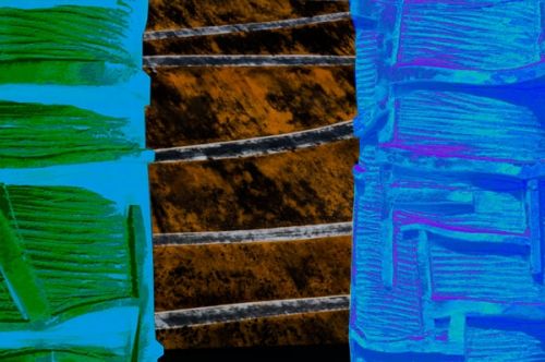 Fotografia de Ricardo Anderson - Galeria Fotografica: Arte a partir de fotografa - Foto: enlazadas