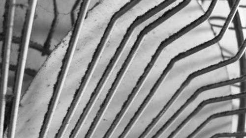 Fotografia de Vero - Galeria Fotografica: Octubre - Foto: Don Emilio