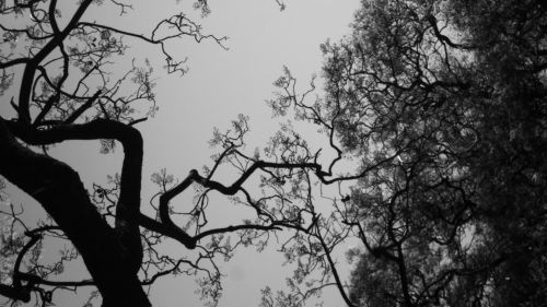 Fotografia de Vero - Galeria Fotografica: Octubre - Foto: Triste