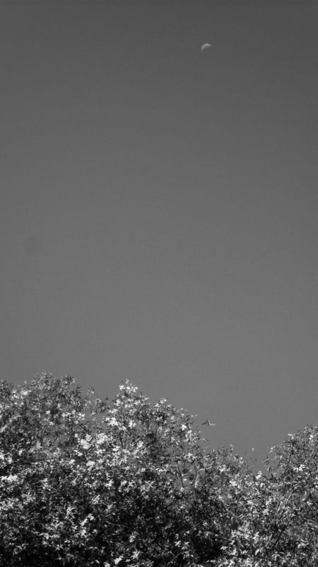 Fotografia de Vero - Galeria Fotografica: Octubre - Foto: Cielo Desnudo