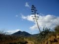 Foto de  naturet - Galería: naturaleza viva - Fotografía: aolevera gigante