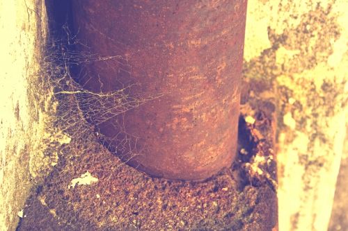 Fotografia de vilo-f79 - Galeria Fotografica: Espacios y rincones en la Ciudad - Foto: un rincon para apreciar