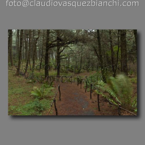 Fotografia de Claudio - Galeria Fotografica: Documental - Foto: 