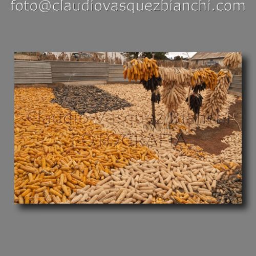 Fotografia de Claudio - Galeria Fotografica: Documental - Foto: 