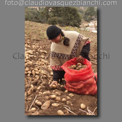 Fotografia de Claudio - Galeria Fotografica: Documental - Foto: 