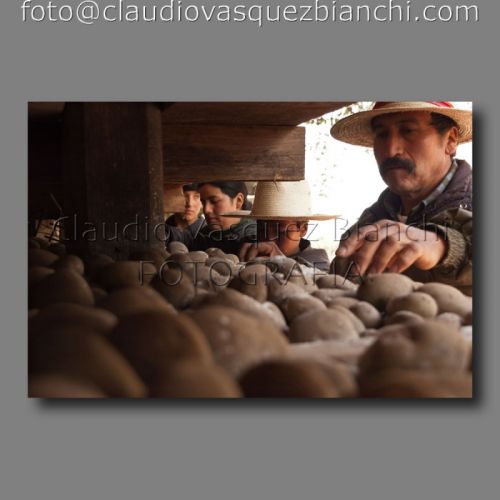 Fotografia de Claudio - Galeria Fotografica: Documental - Foto: 