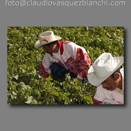 Fotografia de Claudio - Galeria Fotografica: Documental - Foto: 