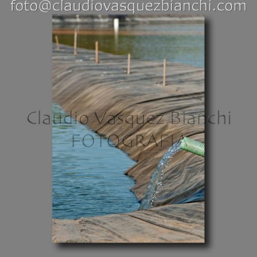 Fotografia de Claudio - Galeria Fotografica: Documental - Foto: 