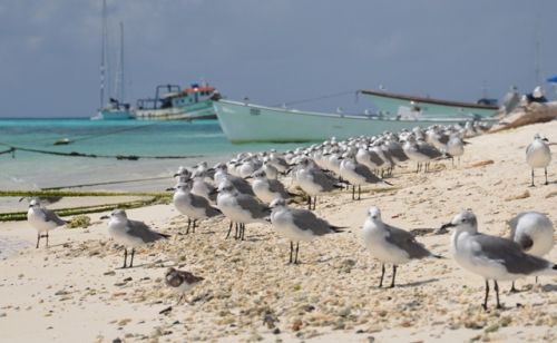 Fotografia de FotoLagartos - Galeria Fotografica: Paya y Fin de Semana - Foto: Es nuestra playa