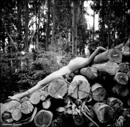 Fotografia de ESTUDIO FOTOGRAFICO ALFONSO MOMEE - Galeria Fotografica: Desnudo - Foto: 