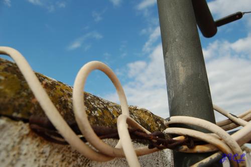 Fotografia de Jess - Galeria Fotografica: Varias - Foto: Un lo de tiempo