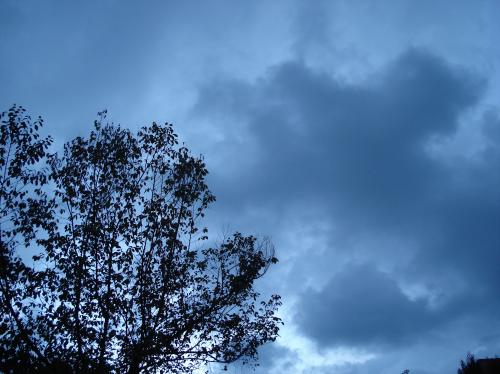 Fotografia de Barnesius - Galeria Fotografica: Naturaleza viva - Foto: 