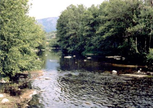 Fotografia de Vir - Galeria Fotografica: Naturaleza - Foto: 