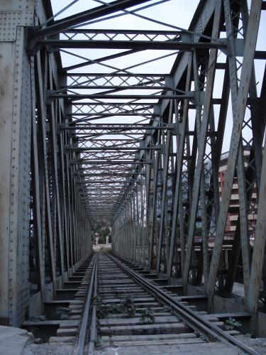 Fotografia de Barnesius - Galeria Fotografica: Naturaleza viva - Foto: 