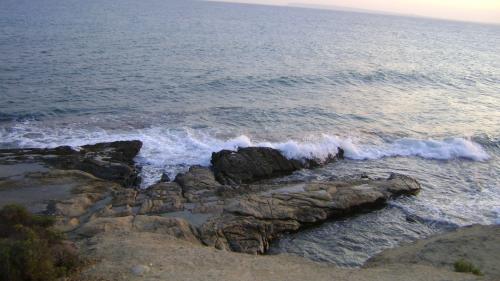 Fotografia de lucy - Galeria Fotografica: alicante - Foto: 