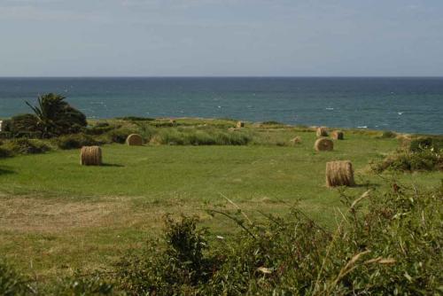 Fotografia de Oskar - Galeria Fotografica: Las primeras - Foto: Cantabria