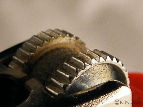 Fotografia de JB - Galeria Fotografica: Macros - Foto: Vic