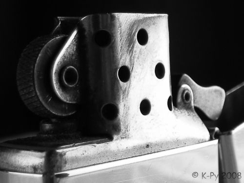 Fotografia de JB - Galeria Fotografica: Macros - Foto: Zippo1