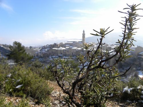 Fotografia de alvaritoss - Galeria Fotografica: Top makross - Foto: 