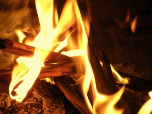 Fotografia de TAEXVI - Galeria Fotografica: Panteon Xilotepec - Foto: 