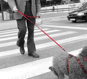 Fotografia de benito - Galeria Fotografica: Madrid - Foto: 