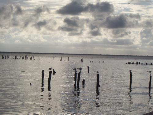 Fotografia de klauss - Galeria Fotografica: el mar - Foto: de lo cotidiano