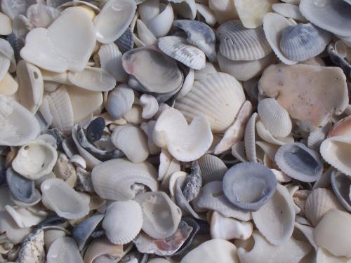 Fotografia de klauss - Galeria Fotografica: el mar - Foto: lleno