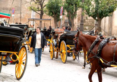 Fotografia de Loli Morales - Galeria Fotografica: Sevilla - Foto: 