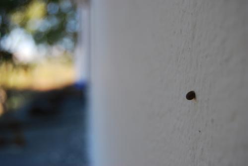 Fotografia de Carlos Contreras - Galeria Fotografica: Un da en el campo - Foto: Paciencia