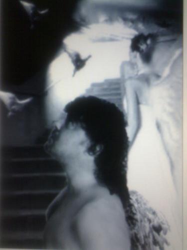 Fotografia de Rodhas - Galeria Fotografica: Sadoris de visita - Foto: Nunca cambian