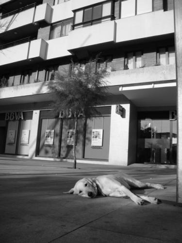 Fotografia de furket - Galeria Fotografica: Milesimas calles - Foto: siempre esperara