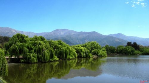 Fotografia de Daniel Rojas Araya - Galeria Fotografica: Agreste - Foto: Verde azulado