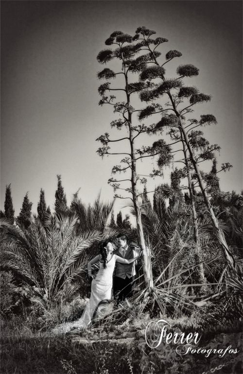 Fotografia de Fotovideo Ferrer S.L. - Galeria Fotografica: Boda - Foto: La flor de la pita