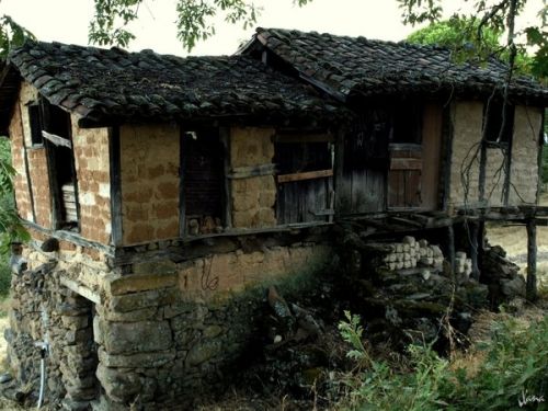 Fotografia de Lizardbly - Galeria Fotografica: A la vera II - Foto: 