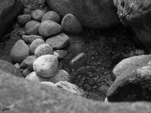 Fotografia de Lizardbly - Galeria Fotografica: A la vera II - Foto: 