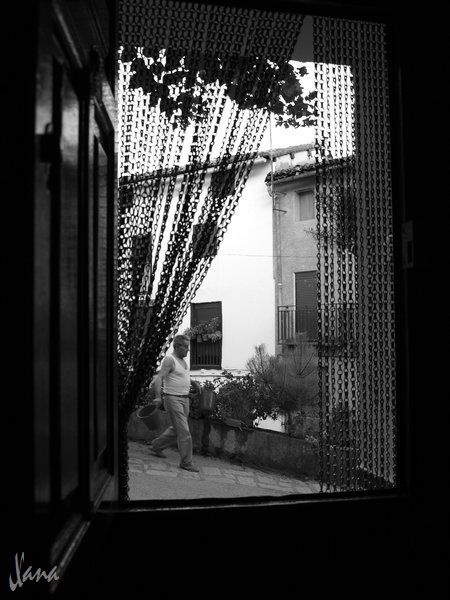 Fotografia de Lizardbly - Galeria Fotografica: A la vera II - Foto: 